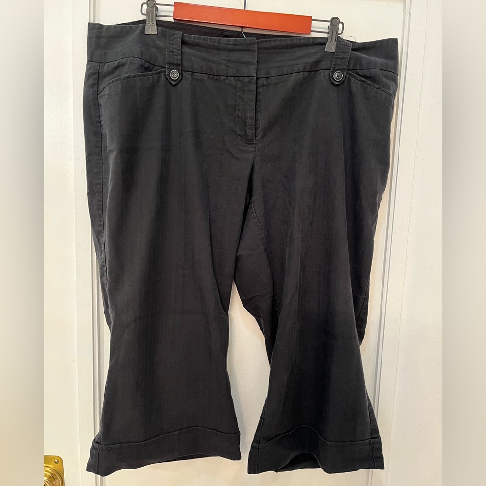 Maurices Dress Capris Size 20